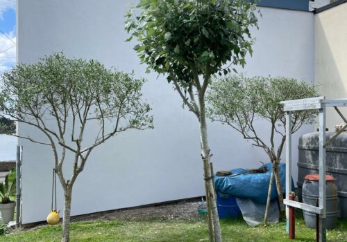 Dernière Réalisation d’Ecotechnologies à Locmiquélic !
